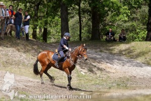 CFCC-2019-01198