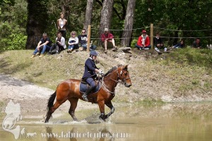 CFCC-2019-01199