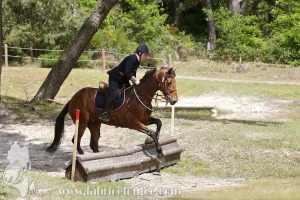 CFCC-2019-01201