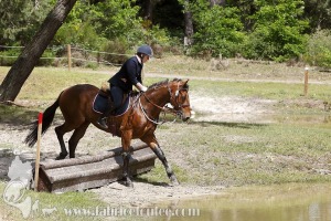 CFCC-2019-01202