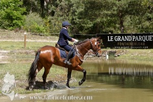 CFCC-2019-01203
