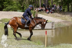 CFCC-2019-01206