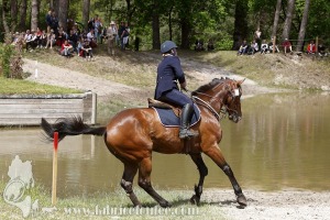 CFCC-2019-01208