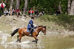 CFCC-2019-01212