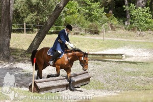 CFCC-2019-01213