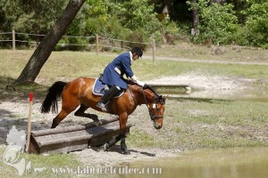 CFCC-2019-01214