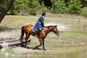 CFCC-2019-01215