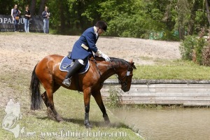 CFCC-2019-01219