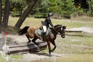 CFCC-2019-01228