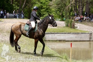 CFCC-2019-01230