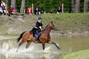 CFCC-2019-01233