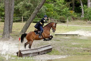 CFCC-2019-01234