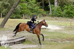 CFCC-2019-01235