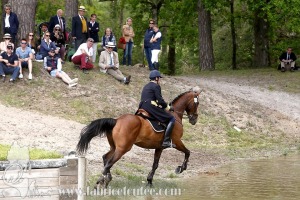 CFCC-2019-01241