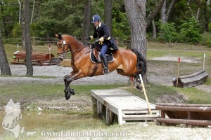 CFCC-2019-01243