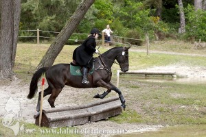 CFCC-2019-01247