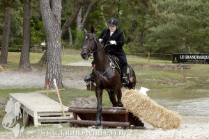 CFCC-2019-01256