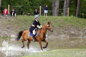 CFCC-2019-01259