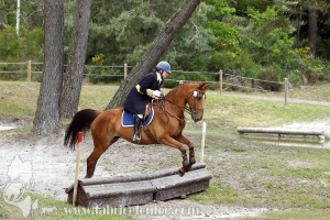CFCC-2019-01260