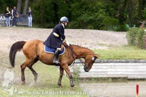 CFCC-2019-01265