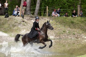 CFCC-2019-01271