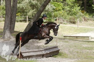 CFCC-2019-01272