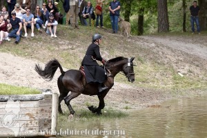 CFCC-2019-01281