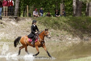 CFCC-2019-01286