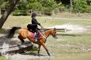 CFCC-2019-01288