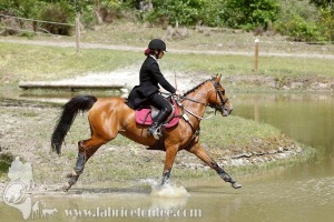 CFCC-2019-01289