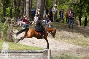 CFCC-2019-01294