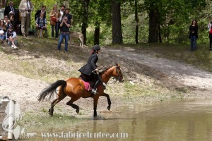CFCC-2019-01295
