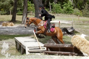 CFCC-2019-01296