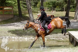 CFCC-2019-01298