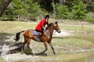 CFCC-2019-01301