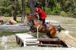 CFCC-2019-01306