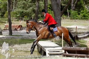 CFCC-2019-01307