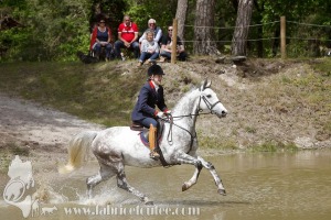 CFCC-2019-01308