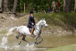 CFCC-2019-01309