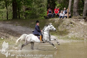 CFCC-2019-01311