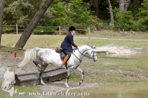 CFCC-2019-01314