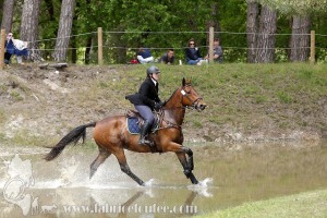 CFCC-2019-01325