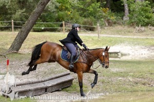 CFCC-2019-01327