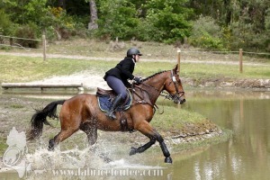 CFCC-2019-01328