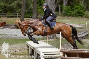 CFCC-2019-01335