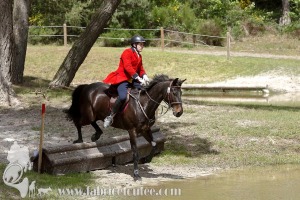 CFCC-2019-01337