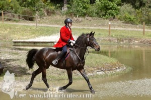 CFCC-2019-01338