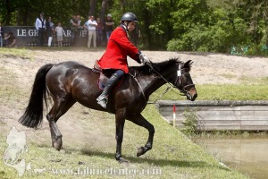 CFCC-2019-01341