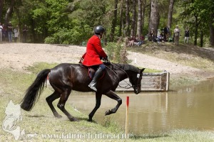CFCC-2019-01342