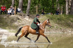 CFCC-2019-01347